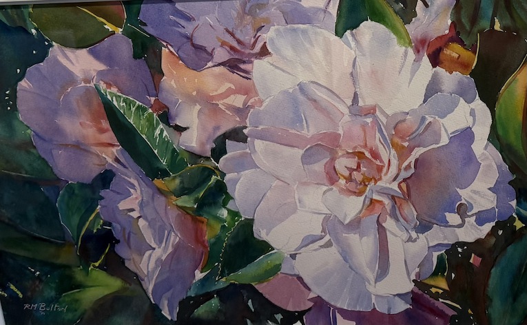 Richard Bolton Pink Camellia  wbcopy.jpeg